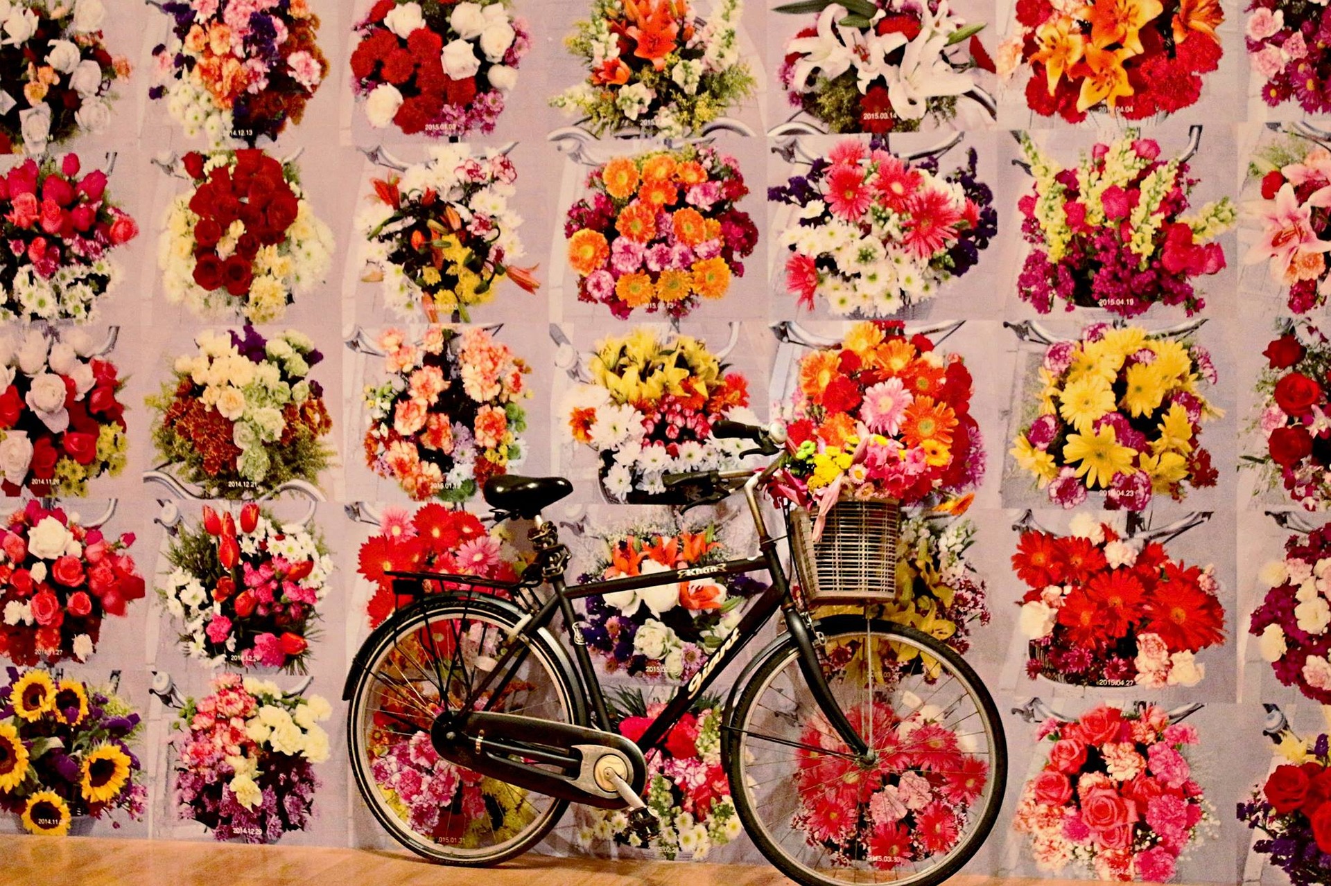 pop art umenie kvety na stene