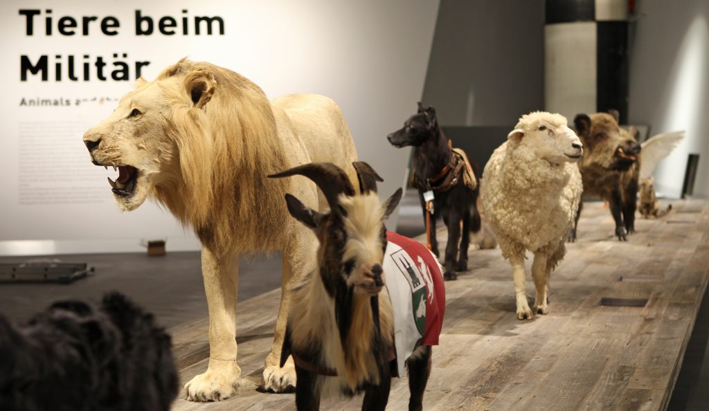 expozícia v múzeu v Drážďanoch