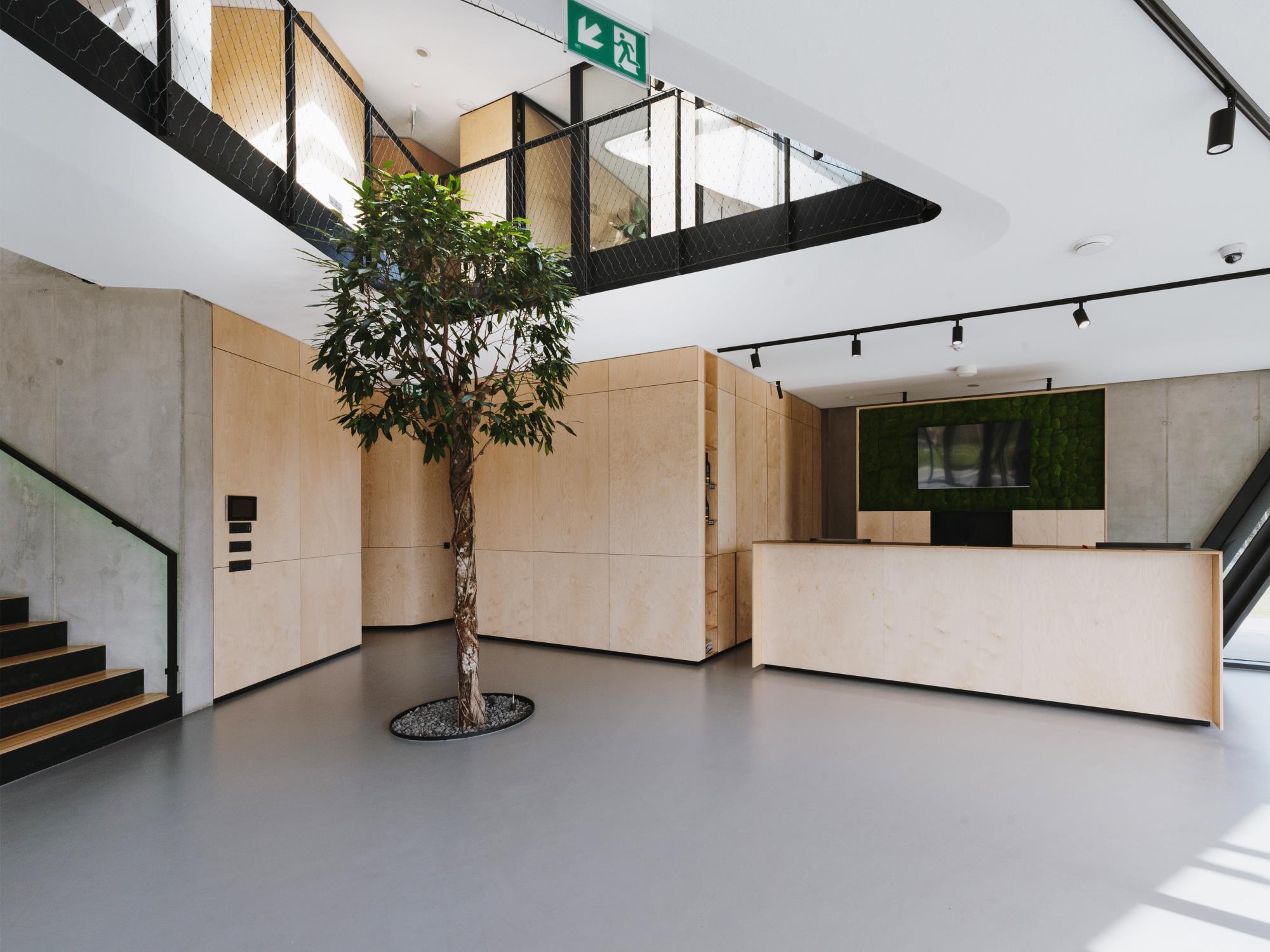 vstupná hala spolu s recepciou v administratívnej budove s detailom na živý strom symbolizujúci rast firmy
