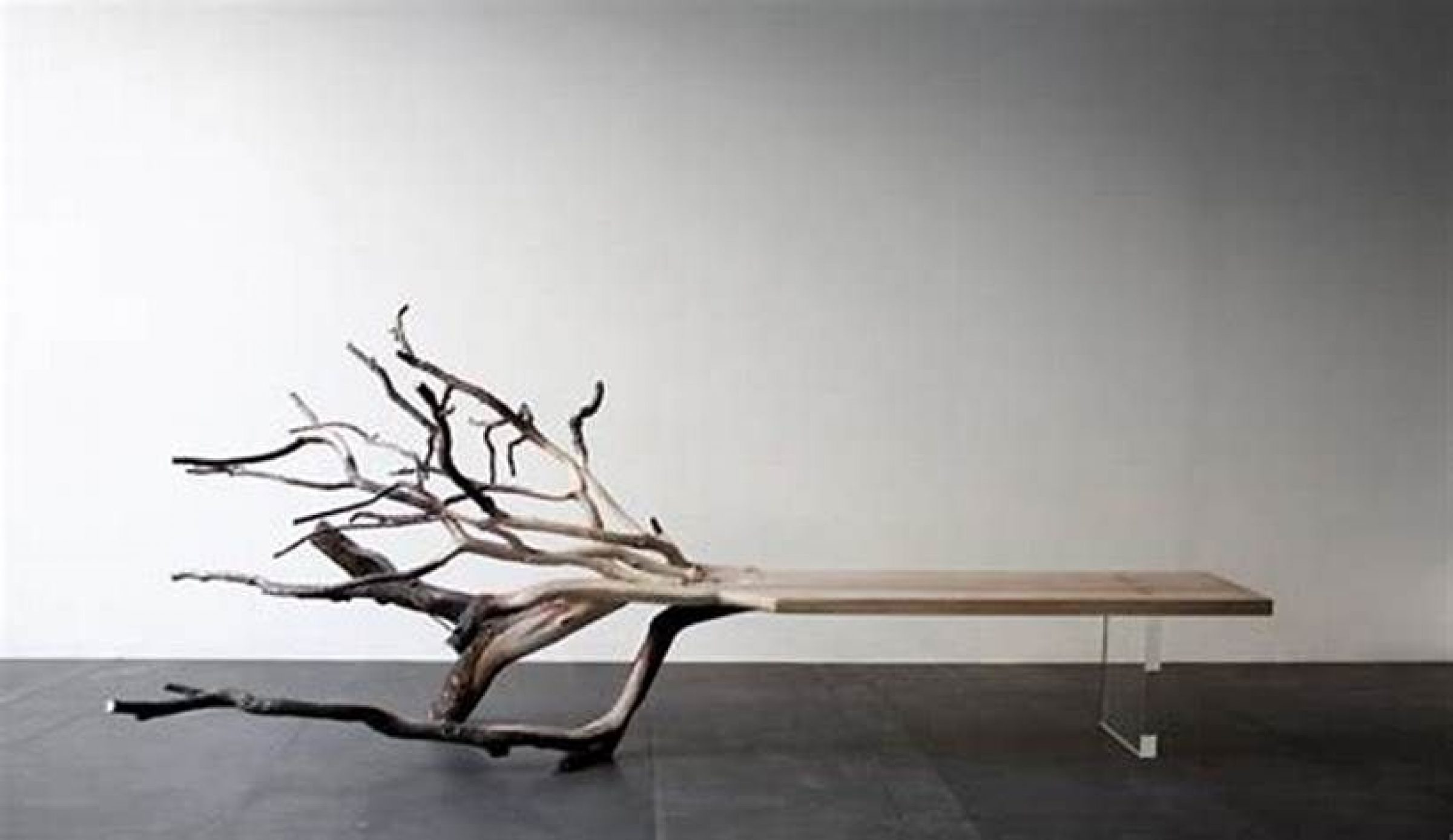 stôl zo suchého stromu