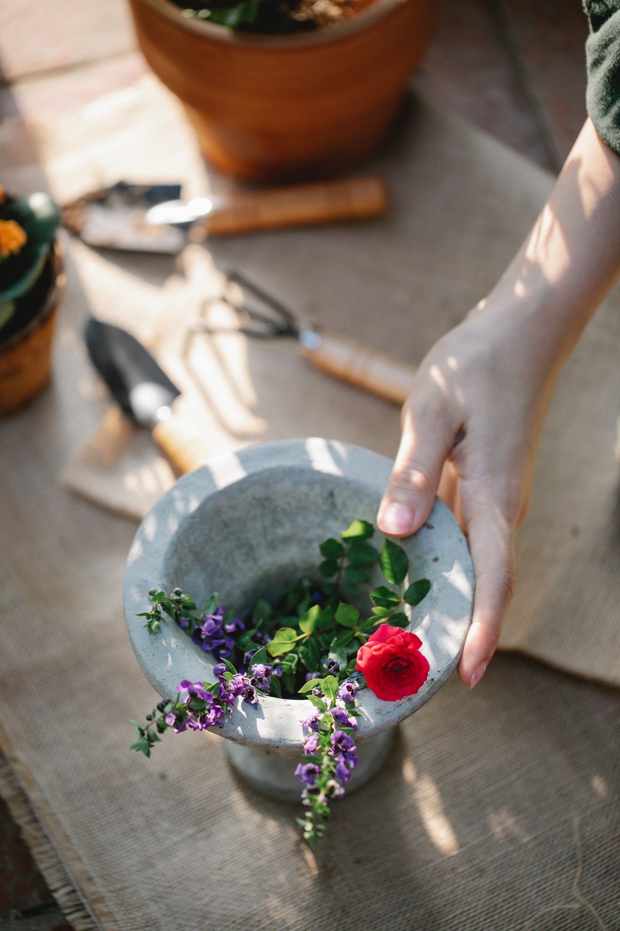 moderný recyklovaný kvetináč ruka mladej ženy