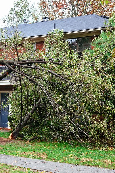 Strom spadnutý na dom