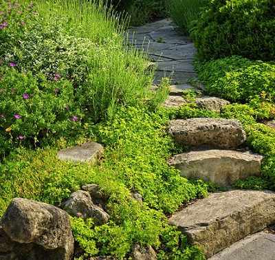 Záhrada kamenné schody