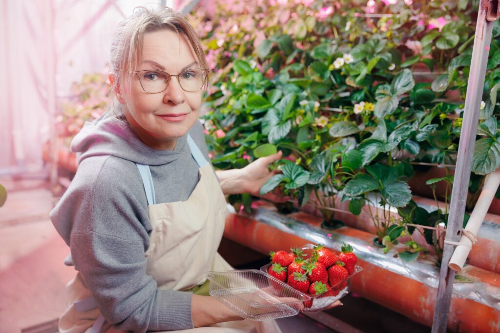 Žena pestujúca jahody